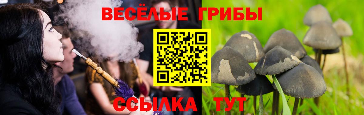 Галлюциногенные грибы мицелий  Псилоцибиновые грибы GOLDEN TEACHER  Вход с VPN  Кострома 